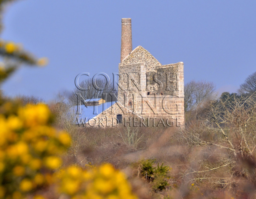 Wheal Busy Distant View